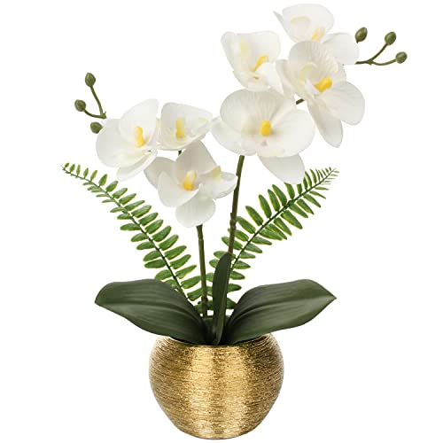 Briful Artificial Orchids Flowers Small Faux Orchid Plant Arrangements in Silver Ceramic Pot Silk Fake Phalaenopsis Flowers for Home Office Table Centerpiece Wedding Party Decor