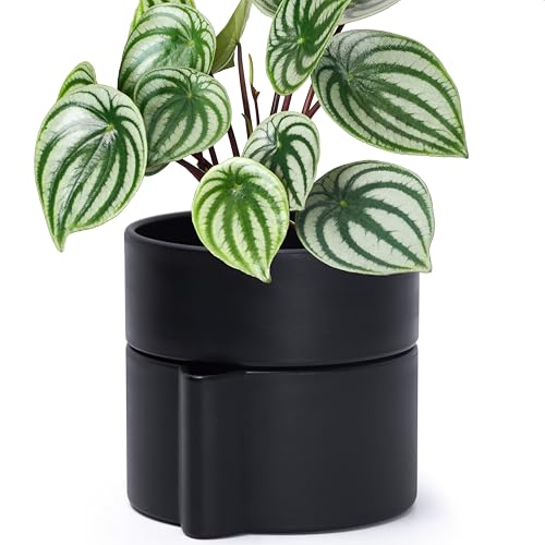 Phoenix Vine 6.5 Inch Self-Watering Planter Pot with Terracotta Insert, Deep Water Reservoir, and Ceramic-Alike BPA-Free Plastic Planter Pot for Plant, Modern Planter for Houseplants, Black, 53-A-S-2