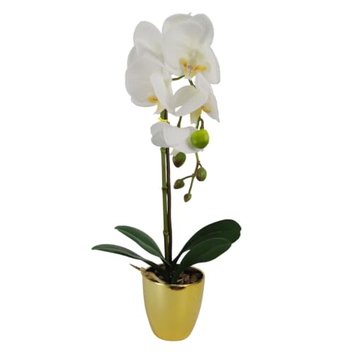 Leaf Design UK Realistic Artificial Orchid Flower Display in Pot, White Gold