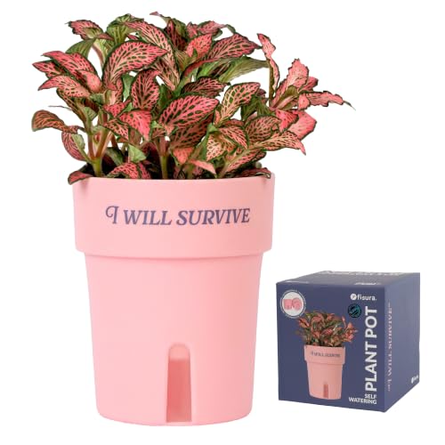 Fisura - 4.7 inch Indoor Self Watering Plant Pot I Will Survive Pink - Pink Self Watering Planter. Mini pot for aromatic and garden plants.