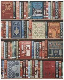 Nelson Line Christmas Bookshelf-8 x 10 Advent Calendar, Brown