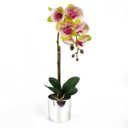 Leaf Design UK Realistic Artificial Orchid Flower Display in Pot