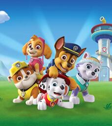 AG Design Paw Patrol Playing on the Lawn Fleece Photo Wallpaper for Children's Room, 180 x 202 cm, FTDNXL 5151, Multi-Colour