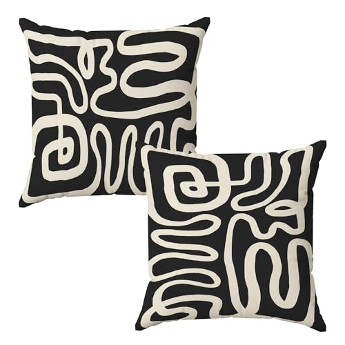 Yomisex Abstract Pillow Covers - Black and White Pillow Covers, Accent Pillows for Couch 18x18 Pillow Cover,Set of 2, Flannel, Home Living Room Decor, Black and White Decorative(A) Pillows
