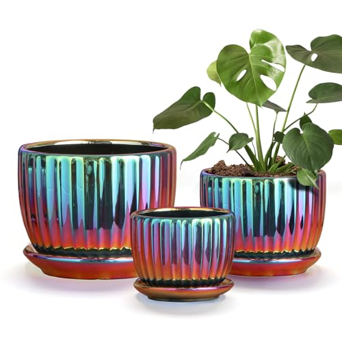 Ceramic Planters,Plant Pots with Drainage Holes & Saucers Set of 3(Purple) - Orchid Pots for Indoor Plants - Cute Flower Pots - Unique Succulent Pots - Pots for Plants - Decorative Plant pots indoor