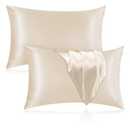 Veaken Silk Pillowcase for Hair and Skin, 100% Mulberry Silk Pillowcase 25 Momme 600 Thread Count, Both Side Pure Silk with Hidden Zipper, Standard Size, 20''x26'', Beige