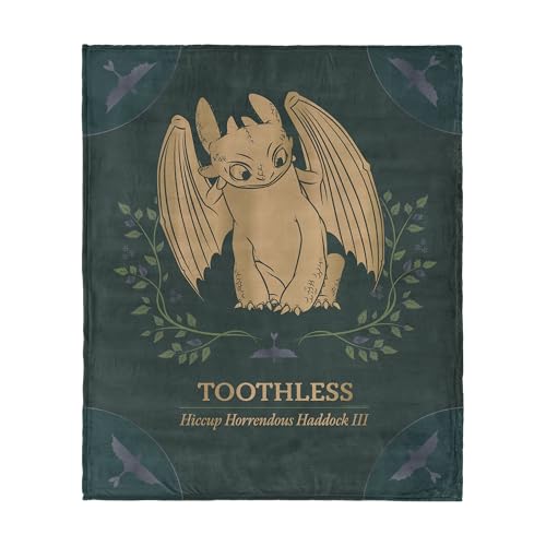 How to Train Your Dragon Hiccup and Toothless Silk Touch Throw Blanket 40x50 inches