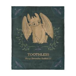 How to Train Your Dragon Hiccup and Toothless Silk Touch Throw Blanket 40x50 inches