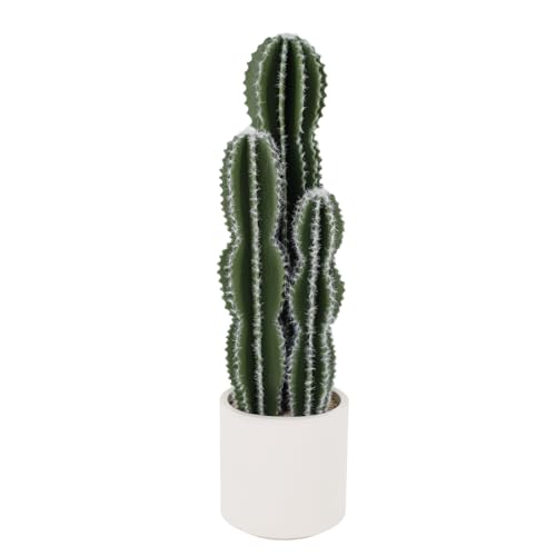 Artificial Cactus in Pot 84 x 22 cm, Artificial Plant Cactus with Stone, Decorative Desert Cacti, Plastic Succulents Plants for Office, Living Room, Home Decoration