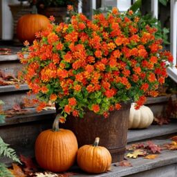 Artificial Flowers Outdoor Plastic Plants - 12 Bundles Outside Face Mums Fake Greenery UV Resistant No Fade Faux Shrubs Home Garden Porch Patio Decoration Bundles Office Thanksgiving(RedOrange)
