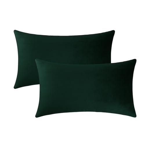 Jeneoo Set of 2 Decorative Throw Pillow Covers Soft Velvet Comfy Lumbar Couch Cushion Cover Decor (Army Green, 12 x 20 Inches)
