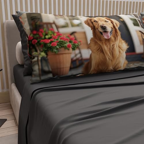 PETTI Artigiani Italiani - Animal Bed Linen with Dogs in Cotton with Pillowcases in Digital Print, Pizza and Half Sheets, Dark Grey Double Bed Set, 100% Made in Italy