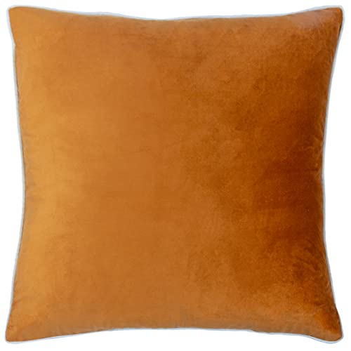 Paoletti Meridian Cushion – Feather Filled Velvet Piped Luxury Decor (Ginger/Ecru - 55 x 55 cm)