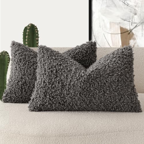 Foindtower Curly Teddy Wool Pillow Covers, Decorative, Boucle, Textured, Lumbar Pillow, Faux Fur, Sherpa Pillow Covers, Sheepskin, Fluffy, for Sofa, Bedroom, Car, Set of 2,