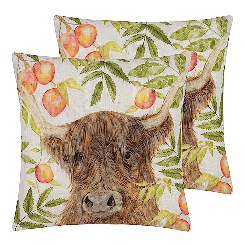 Evans Lichfield Grove Highland Cow Feather Filled Cushion - Twin Pack