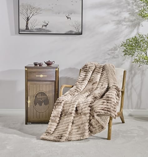 Miracle Home. Fleece Blanket Reversible Microfiber Kunzite Flannel and Sherpa 300GSM-180GSM, Soft, Warm and Lightweight, Machine Washable, 160 X 220 Beige