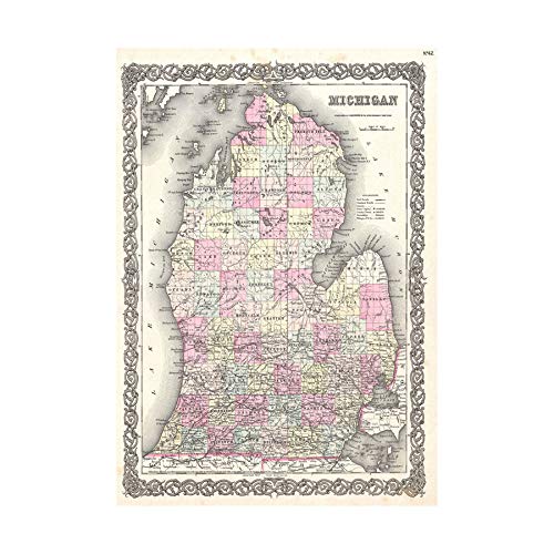 Wee Blue Coo Map Colton 1855 Michigan Frame Wood Art Wall Art Print