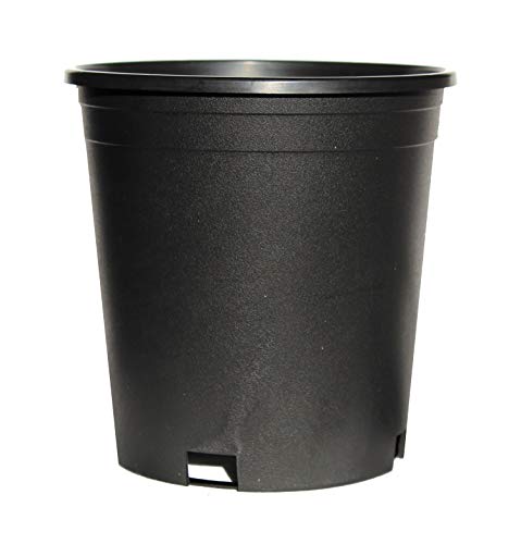 The HC Companies Plastic Planter, Black