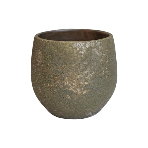Ivyline Plant Pot Planter, Ceramic, Brown, Small