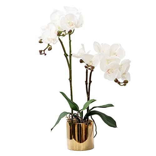 CXGS Artificial Orchid Flower Plant Real Touch Faux Orchids in Ceramic Vase White 19.7'' Fake Phalaenopsis Flower Arrangement Centerpiece Home Indoor Decor