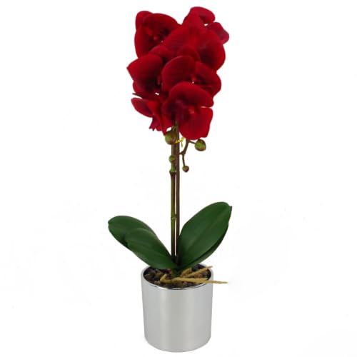 Leaf Design UK Realistic Artificial Orchid Flower Display in Pot