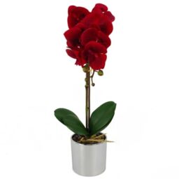 Leaf Design UK Realistic Artificial Orchid Flower Display in Pot