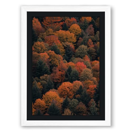 Autumn Canopy Landscape Framed Wall Art Print A2 (59.4×42cm) White, Wall Decor for Living Room, Bedroom, Office & Home, Ready to Hang, Art Gift