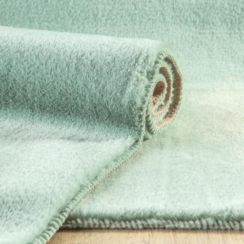 Eurofirany Decorative Rug Doormat Runner Bath Mat Living Room Bedroom Kitchen Rectangular Faux Fur Soft, Mint, 50 x 70 cm