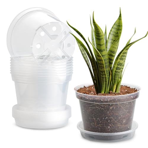 BTPLASTIK 7 Pack 8 Inch Clear Nursery Pots for Plants with Saucer