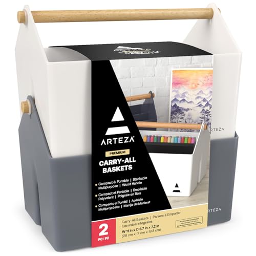 ARTEZA Carry-All Baskets [Pack of 2] 3-Sectioned Plastic Storage Basket with Handle, Caddy Organiser for Art Supplies [11 x 6.7 x 7.2 inches]
