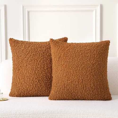 FUTEI Rust Throw Pillow Covers 18x18 Inch Set of 2,Furry Faux Fur Teddy Boucle Textured Cushion Covers,Soft Fluffy Decorative Pillow Case,Home Decor for Couch Bed Living Room Office Car