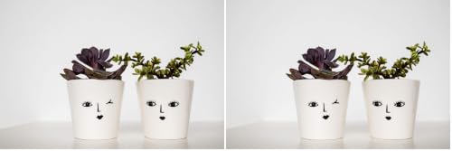 Ivyline Indoor Face Cacti Planter 'Cheeky', Size: H7 x W7 x D7cm, White (Pack of 2)