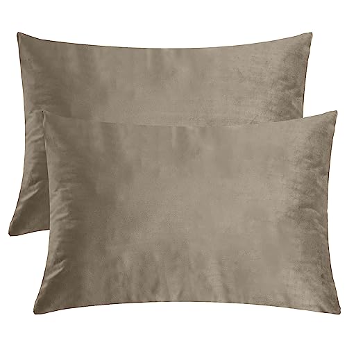 StangH Camel Beige Soft Velvet Pillowcase for Living Room, Set of 2 - Hidden Zipper, Skin Friendly, for Sleep and Relax, Neutral Home Decor, Sofa, 20 x 30