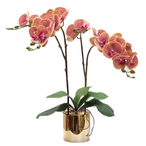 CXGS Artificial Orchid Flower Plant Real Touch Faux Orchids in Ceramic Vase Purple Dapple 19.7'' Fake Phalaenopsis Flower Arrangement Centerpiece Home Indoor Decor