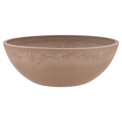 PSW Pot Collection Shallow Bowl Low Planter for Succulents, Bonsai, Fairy Gardens, Herbs, Plastic Stone Wood, Taupe, 25.4 cm