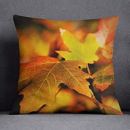 Bonamaison Decorative Cushion Cover, Cotton Polyester, Multicolor, 45X45