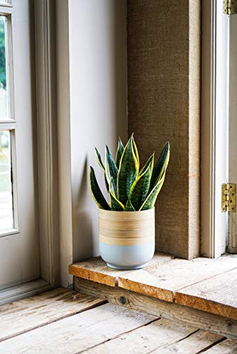 Ivyline Bamboo Grey Planter D19Cm