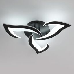 Comely LED Ceiling Light, Modern Acrylic Ceiling Lamp 36W 4300LM, Cool White 6500K, Ceiling Lighting Fixture, for Bedroom Living Room, Dia 52cm, Black