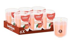 Bolsius - Peach - Orange - Set of 6 Scented Candles - 8 x 7 cm - Burn time: 25 Hours - with Natural extracts - Natural Vegetable Wax - Palm Oil Free