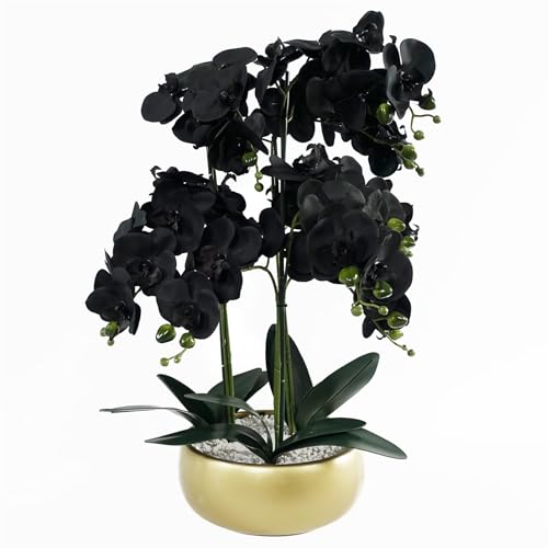 Leaf Design UK Realistic Artificial Orchid Flower Display in Pot