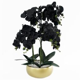 Leaf Design UK Realistic Artificial Orchid Flower Display in Pot