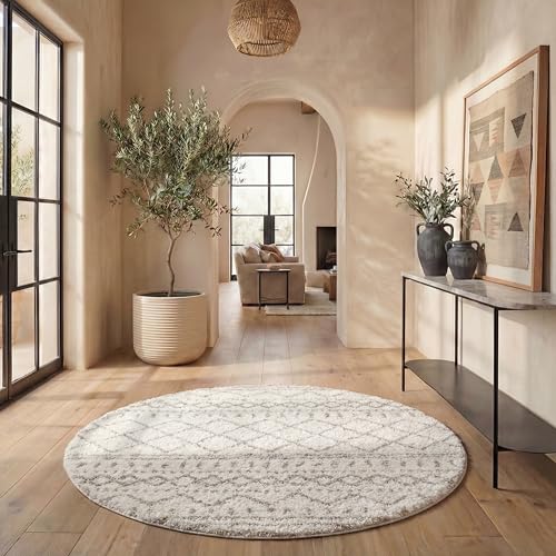 Safavieh Shaggy Indoor Woven Round Area Rug, Arizona Shag Collection, ASG741, in Ivory / Beige, 201 X 201 cm for Living Room, Bedroom or Any Indoor Space