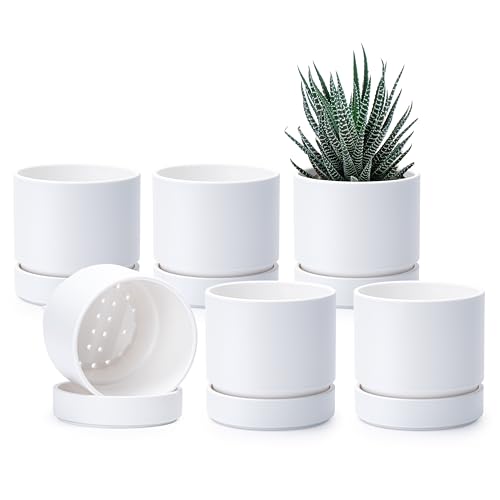 Phoenix Vine 4 Inch Planter Pot with Drainage Hole & Saucer, Deep Water Catch Tray, Straight Cylindrical Round Pot for Plants, Matte White, Pack of 6, 23-B-R-6