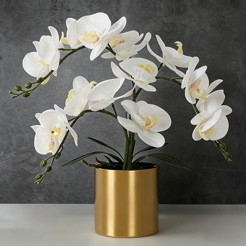 LESING Artificial Orchid Flower with Vase, White Orchid Bonsai Faux Orchid Phalaenopsis Plant Pot Arrangements for Home Decoration (White,Gold Vase)