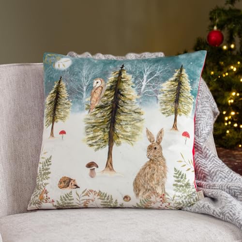 Evans Lichfield Christmas Owl Velvet Feather Filled Cushion