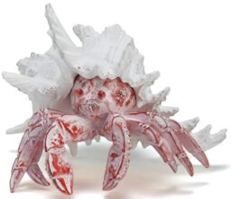 VVGIFTS Beach Coastal Decor Red Hermit Crab with Shell Figurines Decor Home Office Desk Sculpture Statue for Tabletop Shelf Bathroom Decoration Ornament Gift (Red)