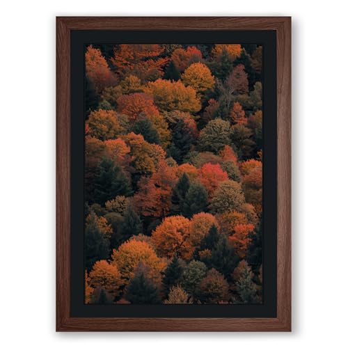 Autumn Canopy Landscape Framed Wall Art Print A3 (42×29.7cm) Walnut, Wall Decor for Living Room, Bedroom, Office & Home, Ready to Hang, Art Gift