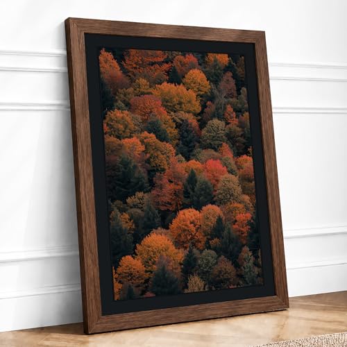 Autumn Canopy Landscape Framed Wall Art Print A3 Walnut
