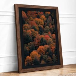 Autumn Canopy Landscape Framed Wall Art Print A3 Walnut