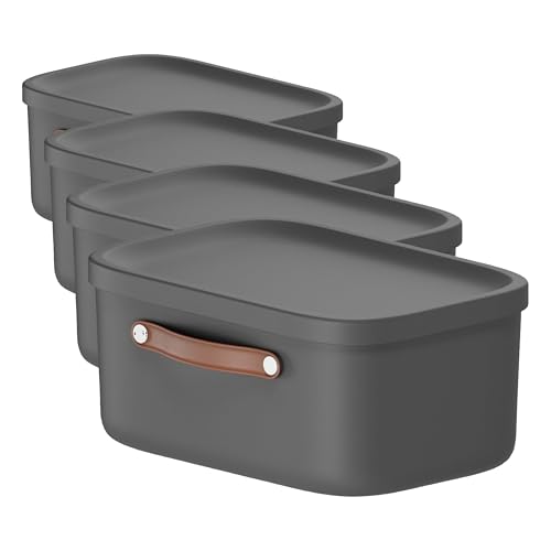 Rotho Maloja Storage box 12 l, Plastic (PP recycled), 12 (39.5 x 26.5 x 17.7 cm) (Pack of 4)